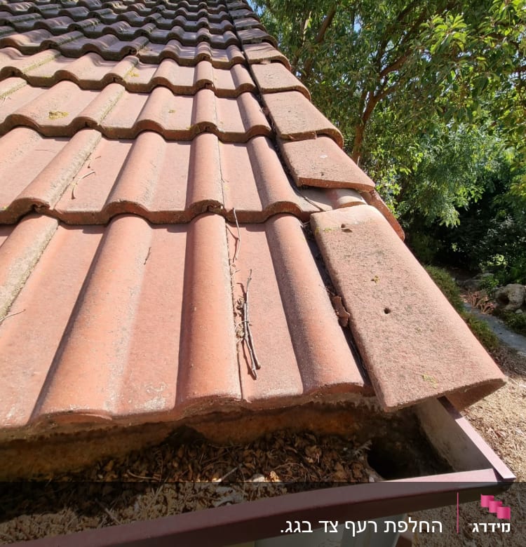 רעפים על גג עם עלים בתעלה